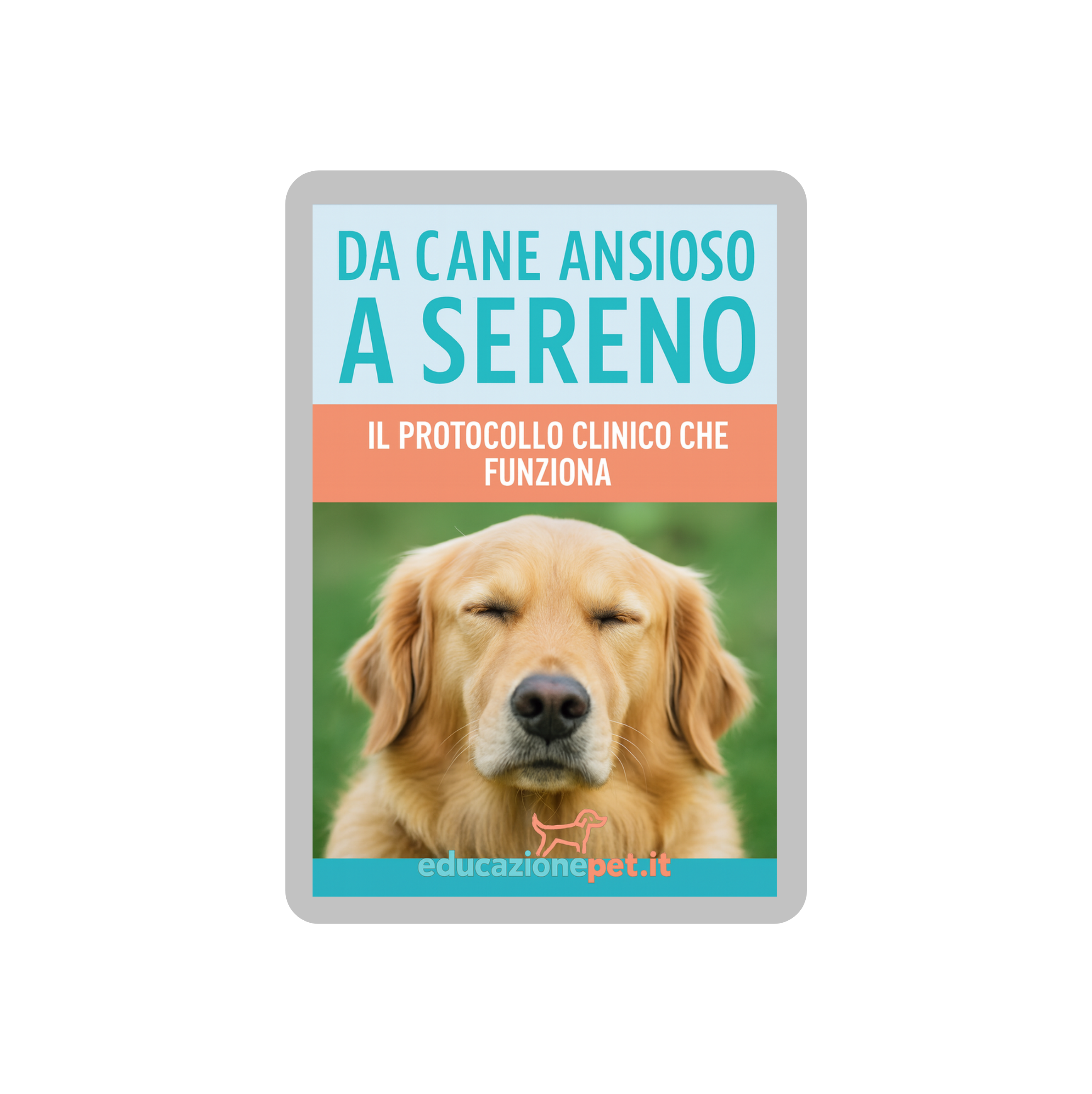 Da Cane Ansioso a Sereno: Il Protocollo Clinico che Funziona